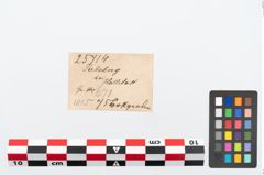 Etikett zu Perlenkette (NHMW-PRAE-025714)